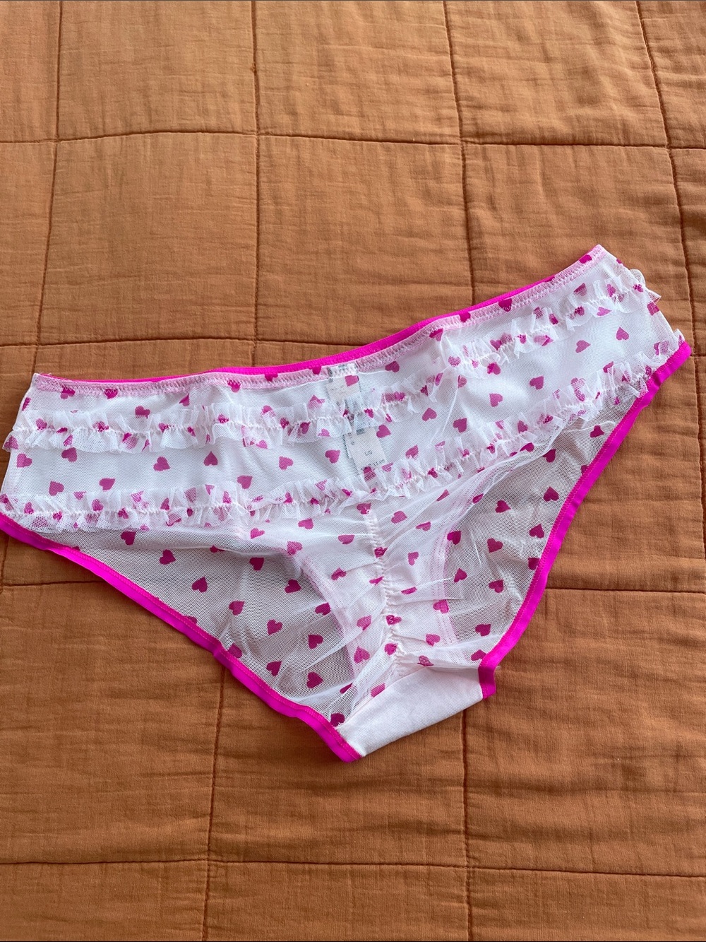 Victoria's Secret White Sheer Bikini Panty with Hot Pink Hearts